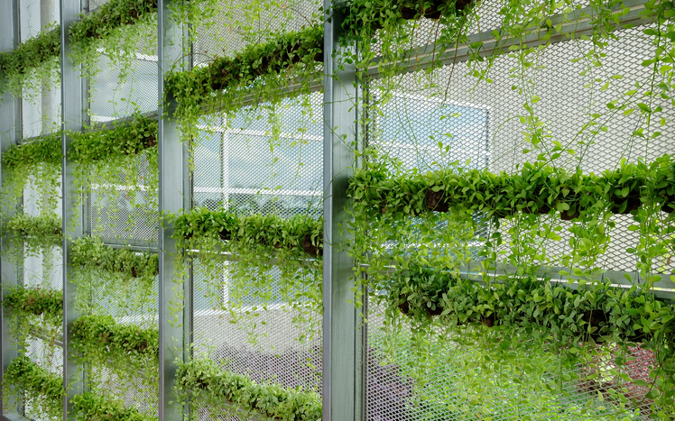 green wall in sustainable building