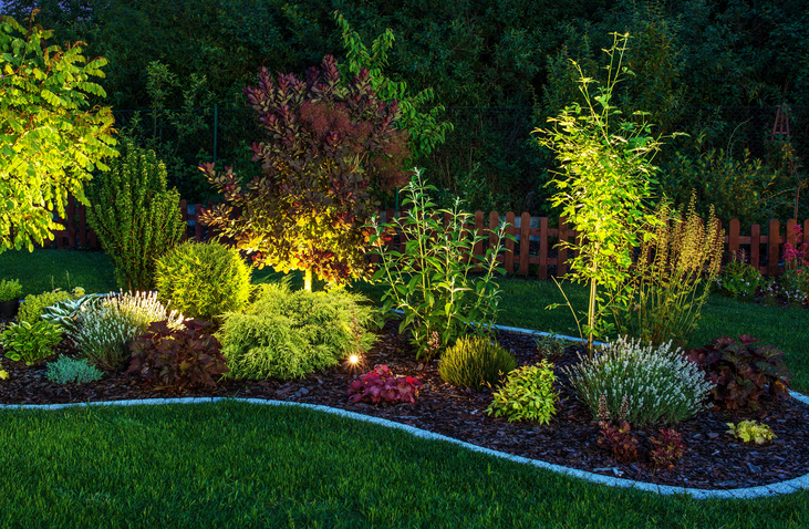 Modernize Your Landscape - Garden Lighting