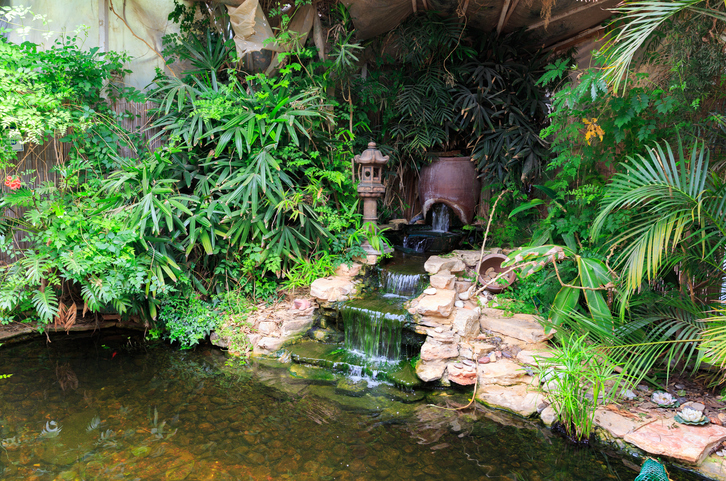 Modernize Your Landscape - Backyard Waterfall